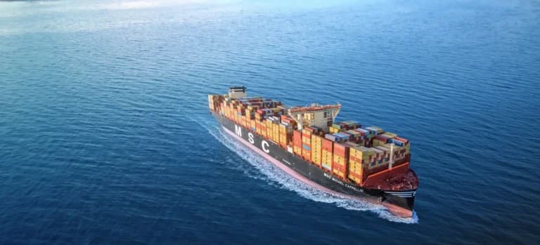 MSC (Mediterranean Shipping Company): Mengulas Strategi Swasta Terbesar Dunia di Hub Pelabuhan Indonesia